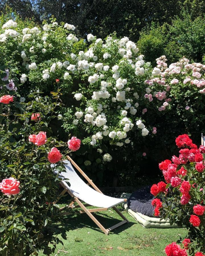 Lulu en Provence Bed and Breakfast LʼIsle-sur-la-Sorgue Exterior foto