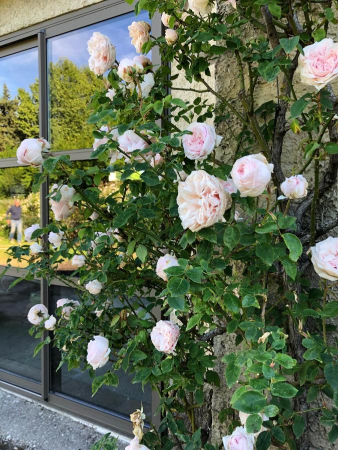 Lulu en Provence Bed and Breakfast LʼIsle-sur-la-Sorgue Exterior foto